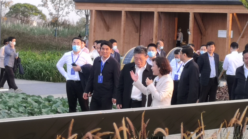 國家發(fā)改委黨組成員郭蘭峰、浙江省常務(wù)副省長徐文光一行調(diào)研浙農(nóng)嘉善萬畝水稻種植示范區(qū)