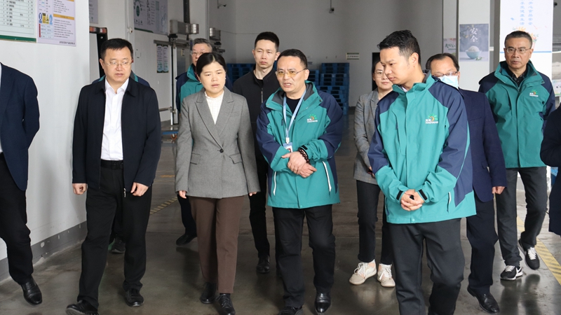 全國供銷總社金融服務(wù)部副部長(zhǎng)郭曉茹到浙農(nóng)調(diào)研