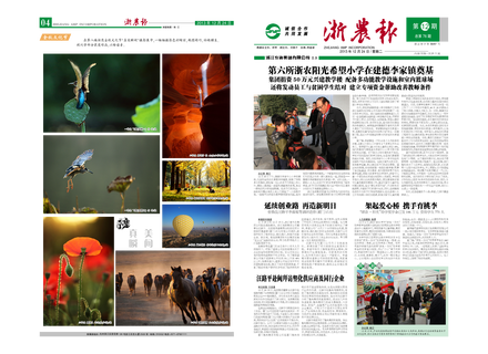 浙農(nóng)報2013年第12期（一、四版）